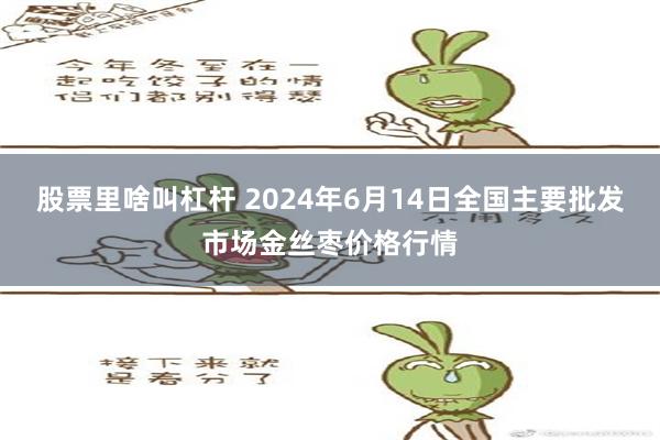 股票里啥叫杠杆 2024年6月14日全国主要批发市场金丝枣价格行情