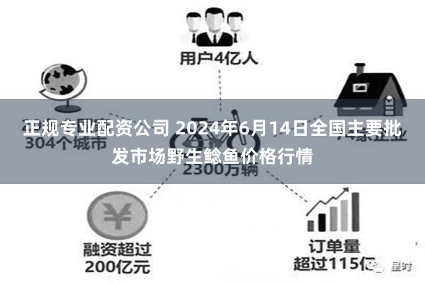 正规专业配资公司 2024年6月14日全国主要批发市场野生鲶鱼价格行情