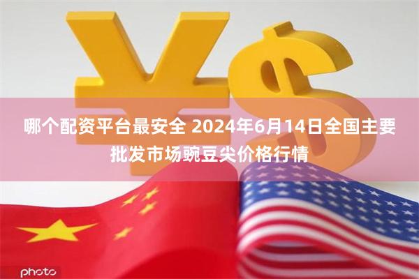 哪个配资平台最安全 2024年6月14日全国主要批发市场豌豆尖价格行情