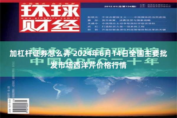 加杠杆证券怎么弄 2024年6月14日全国主要批发市场西洋芹价格行情