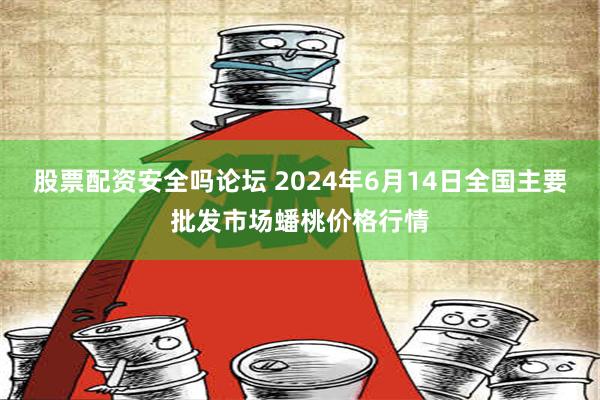 股票配资安全吗论坛 2024年6月14日全国主要批发市场蟠桃价格行情