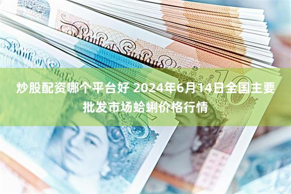 炒股配资哪个平台好 2024年6月14日全国主要批发市场蛤蜊价格行情