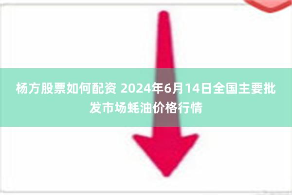 杨方股票如何配资 2024年6月14日全国主要批发市场蚝油价格行情