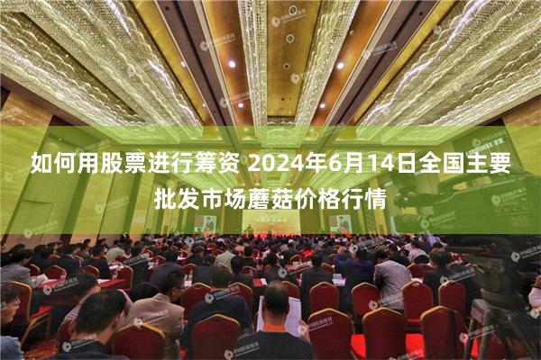 如何用股票进行筹资 2024年6月14日全国主要批发市场蘑菇价格行情