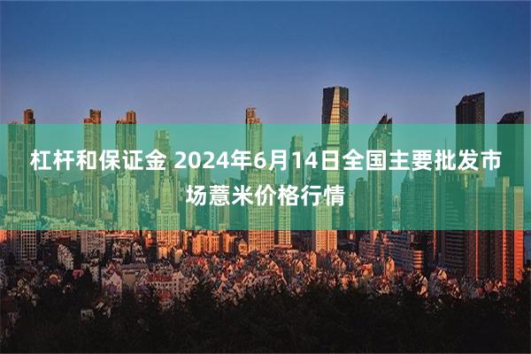 杠杆和保证金 2024年6月14日全国主要批发市场薏米价格行情