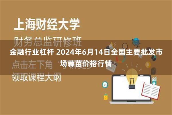 金融行业杠杆 2024年6月14日全国主要批发市场蒜苗价格行情