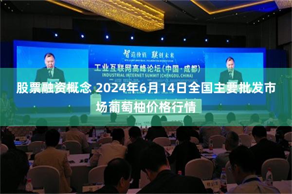 股票融资概念 2024年6月14日全国主要批发市场葡萄柚价格行情