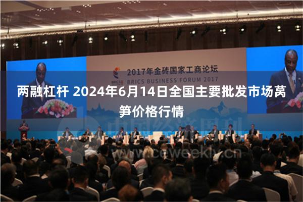 两融杠杆 2024年6月14日全国主要批发市场莴笋价格行情