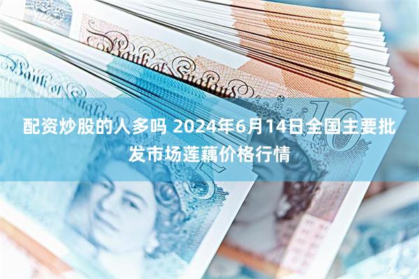 配资炒股的人多吗 2024年6月14日全国主要批发市场莲藕价格行情