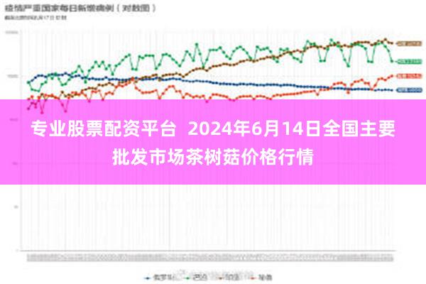 专业股票配资平台  2024年6月14日全国主要批发市场茶树菇价格行情