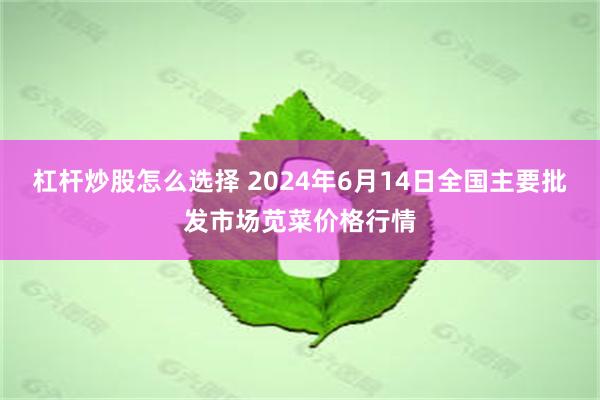 杠杆炒股怎么选择 2024年6月14日全国主要批发市场苋菜价格行情