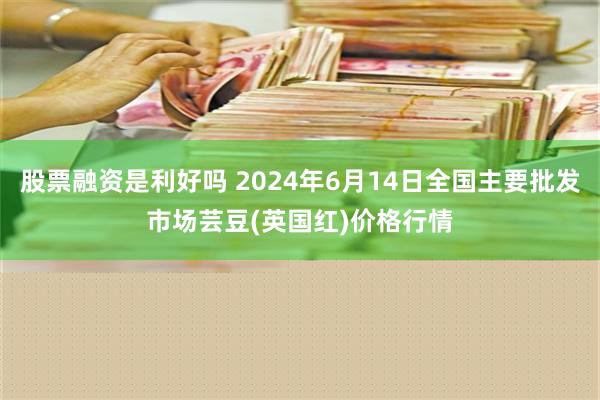 股票融资是利好吗 2024年6月14日全国主要批发市场芸豆(英国红)价格行情