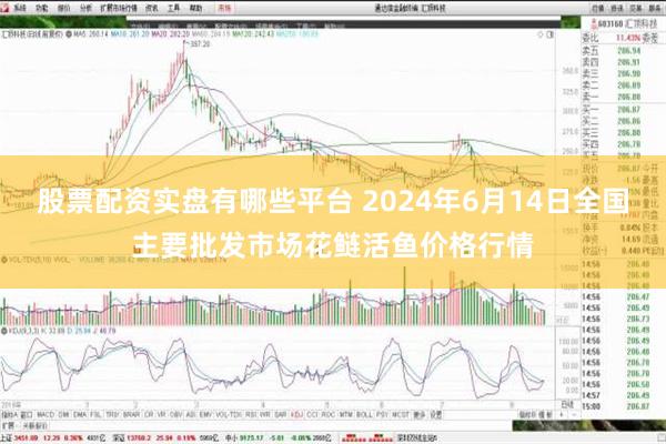 股票配资实盘有哪些平台 2024年6月14日全国主要批发市场花鲢活鱼价格行情