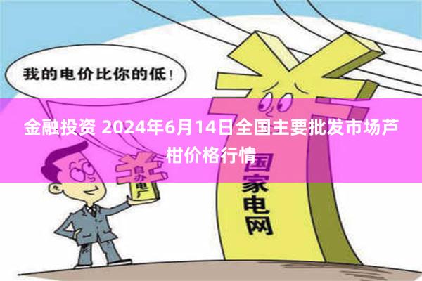 金融投资 2024年6月14日全国主要批发市场芦柑价格行情