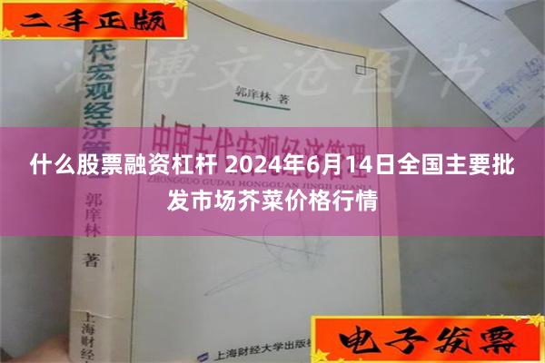 什么股票融资杠杆 2024年6月14日全国主要批发市场芥菜价格行情