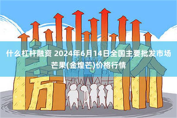 什么杠杆融资 2024年6月14日全国主要批发市场芒果(金煌芒)价格行情