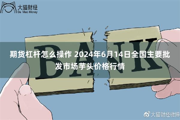 期货杠杆怎么操作 2024年6月14日全国主要批发市场芋头价格行情