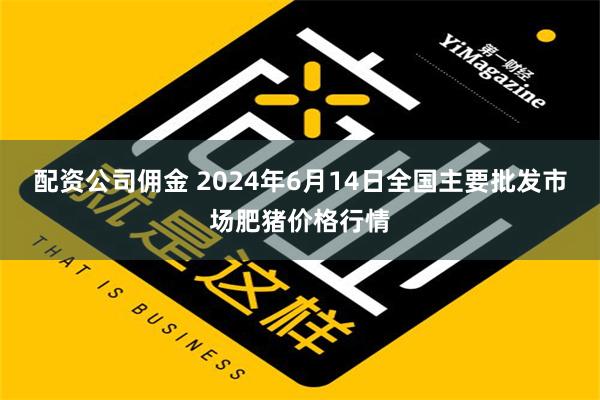 配资公司佣金 2024年6月14日全国主要批发市场肥猪价格行情