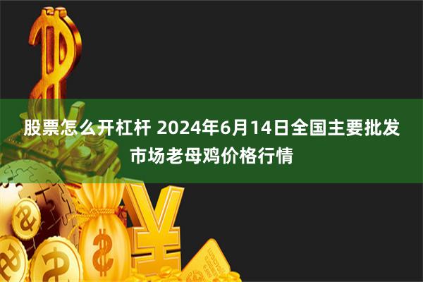 股票怎么开杠杆 2024年6月14日全国主要批发市场老母鸡价格行情