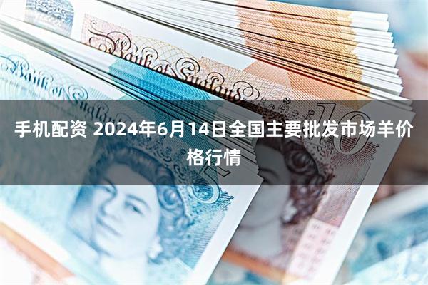 手机配资 2024年6月14日全国主要批发市场羊价格行情