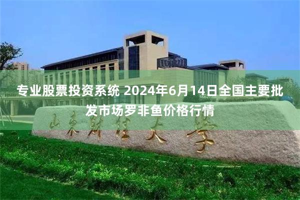 专业股票投资系统 2024年6月14日全国主要批发市场罗非鱼价格行情