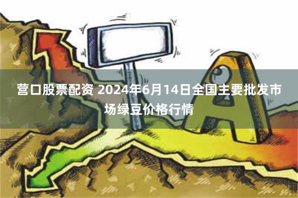 营口股票配资 2024年6月14日全国主要批发市场绿豆价格行情