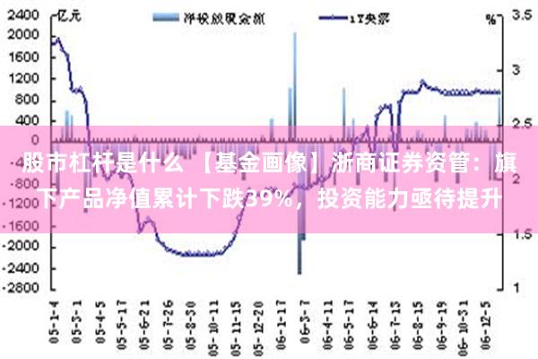 股市杠杆是什么 【基金画像】浙商证券资管：旗下产品净值累计下跌39%，投资能力亟待提升