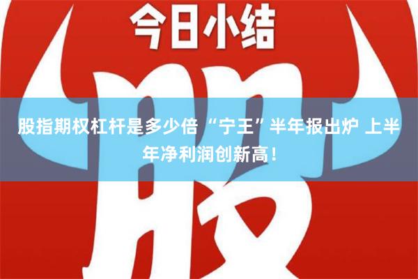 股指期权杠杆是多少倍 “宁王”半年报出炉 上半年净利润创新高！