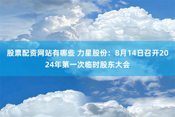 股票配资网站有哪些 力星股份：8月14日召开2024年第一次临时股东大会