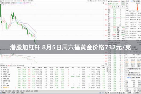 港股加杠杆 8月5日周六福黄金价格732元/克