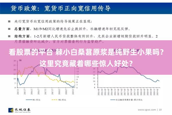 看股票的平台 棘小白桑葚原浆是纯野生小果吗？这里究竟藏着哪些惊人好处？