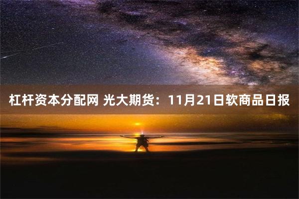 杠杆资本分配网 光大期货：11月21日软商品日报