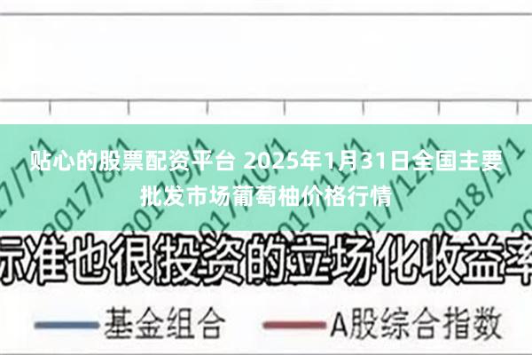 贴心的股票配资平台 2025年1月31日全国主要批发市场葡萄柚价格行情