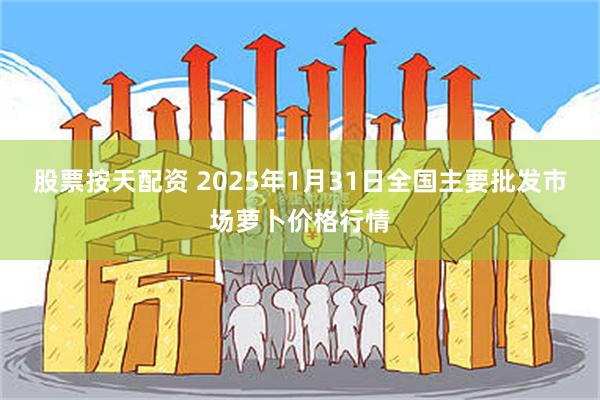 股票按天配资 2025年1月31日全国主要批发市场萝卜价格行情